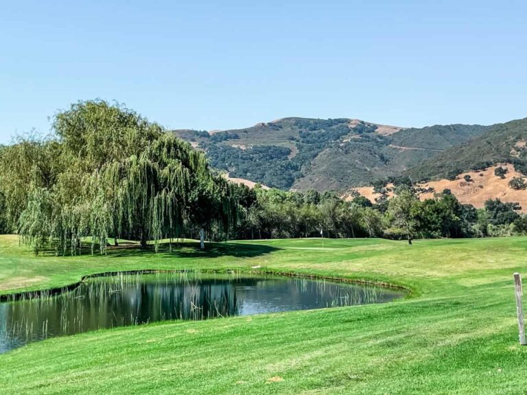 Understanding Golf Course Type and Your Game