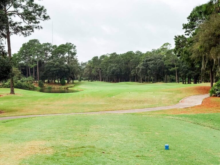 View from the tee box on a lush, tree-lined golf hole featuring a gently curving fairway with a small pond on the left and tall pine trees framing both sides under an overcast sky.