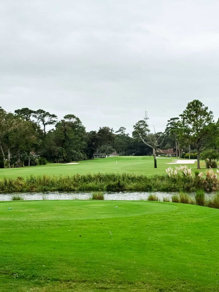 A lush green golf hole at Palmetto Dunes with a water hazard in front of the tee box, tall grasses along the edge, and trees lining the fairway under an overcast sky